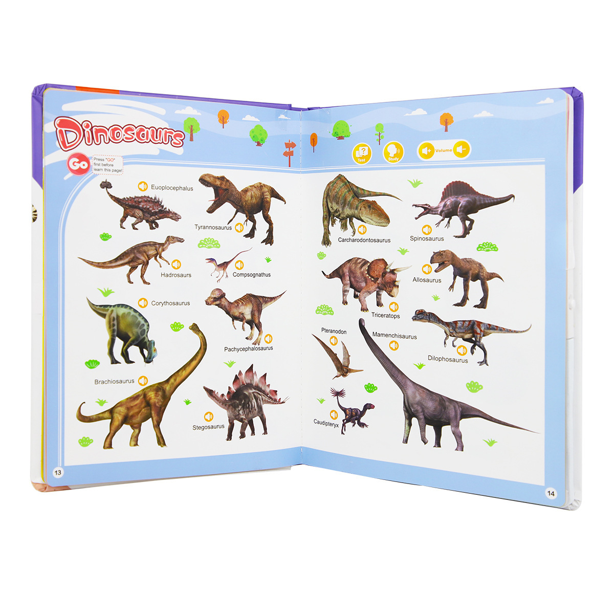 My First English Sound Book – Fun and Interactive Learning for Kids, Portable 19.8cm Design, Perfect for Early Education and Language Development