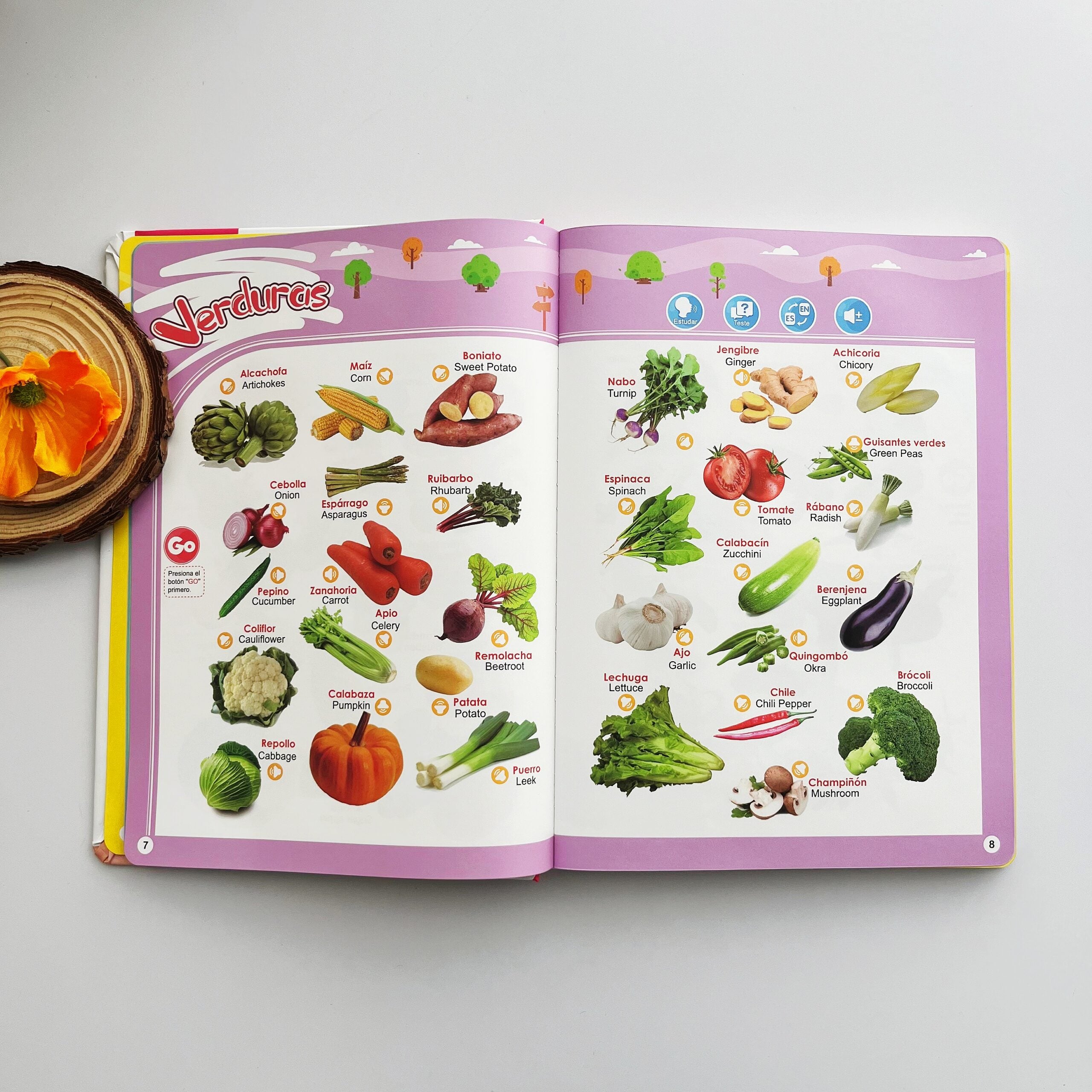 Libro Sonoro Bilingüe Español-Inglés para Niños 1-6 Años, 300+ Palabras y 13 Temas, Juguete Educativo con Canciones, Animales, Piano Infantil y Alfabeto edutoys