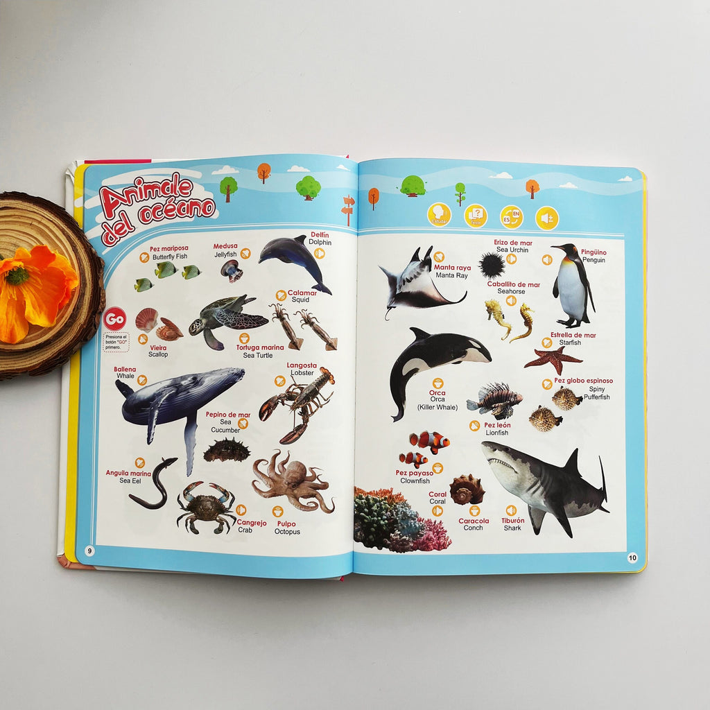 Libro Sonoro Bilingüe Español-Inglés para Niños 1-6 Años, 300+ Palabras y 13 Temas, Juguete Educativo con Canciones, Animales, Piano Infantil y Alfabeto edutoys